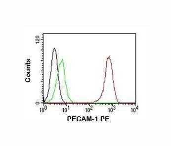 Anti-Monkey/Rabbit PECAM-1 Antibody