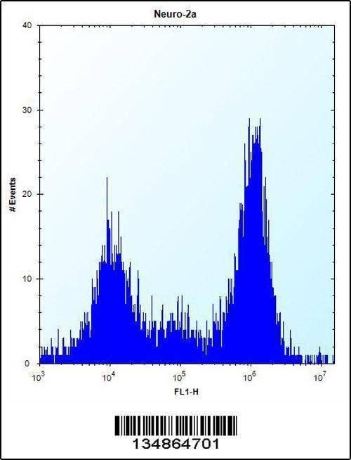 Anti-Prkca (N-term) Antibody