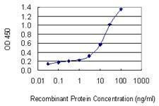 Anti-CLTA Antibody