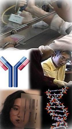 Anti-FANCL Antibody