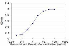 Anti-COX17 Antibody