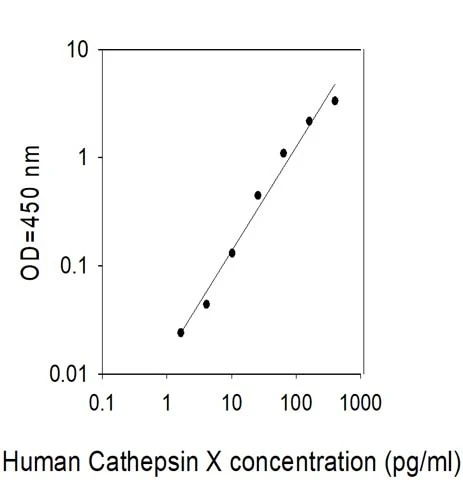 Human Cathepsin X (Cathepsin P ELISA Kit