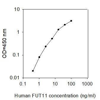 Human FUT11 ELISA Kit