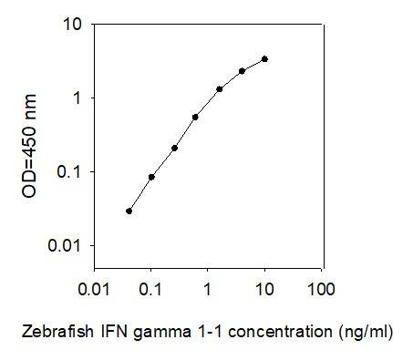 Zebrafish Interferon, gamma 1-1/IFNg1-1 ELISA Kit