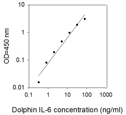 Dolphin IL-6 ELISA Kit