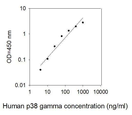 Human p38 gamma ELISA kit Standard Curve