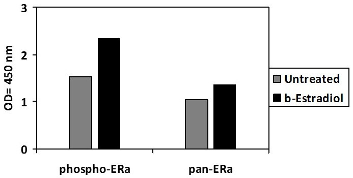 Human Phospho-Estrogen receptor (S118) ELISA Kit