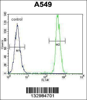 Anti-HN1 (Center) Antibody