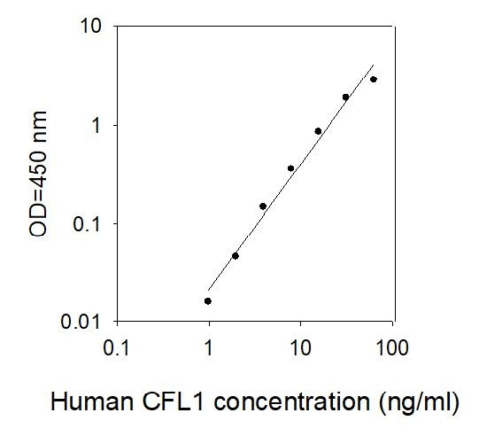Human CFL1 ELISA Kit