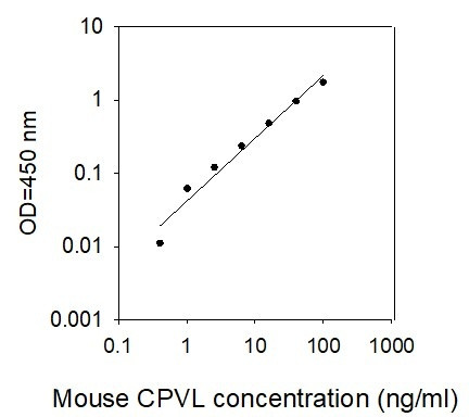 Human CPVL ELISA Kit