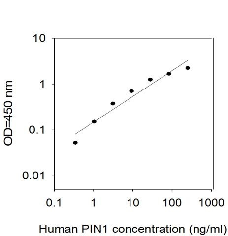 Human Pin1 ELISA Kit