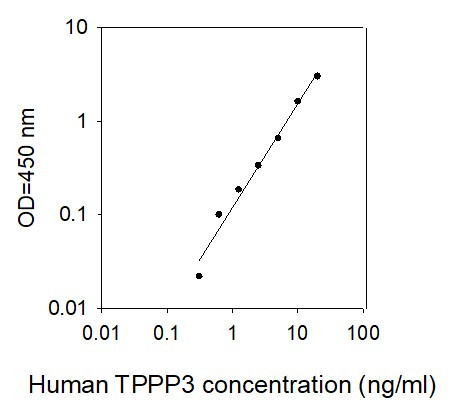 Human TPPP3 ELISA kit Standard Curve