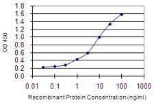 Anti-CRIPT Antibody