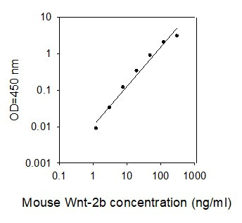 Mouse WNT-2b ELISA kit Standard Curve