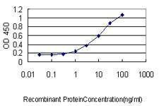 Anti-CRSP9 Antibody