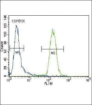 Anti-CD4 (N-term) Antibody