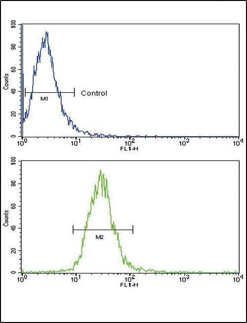 Anti-TLR6 (C-term) Antibody
