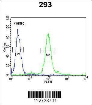 Anti-FAU Antibody