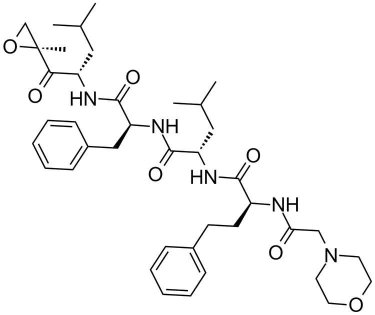 Carfilzomib (PR-171)