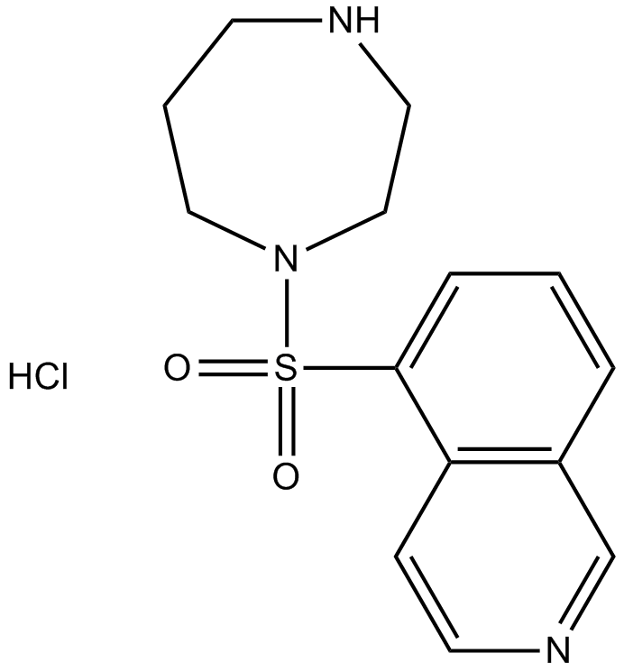 Fasudil (HA-1077) HCl