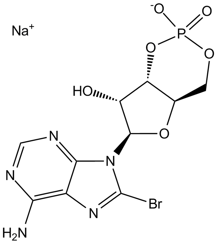 8-Bromo-cAMP, sodium salt
