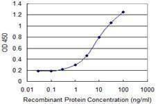 Anti-CYLD Antibody