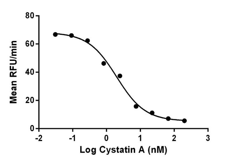 Recombinant Porcine (pig) Cystatin A Protein