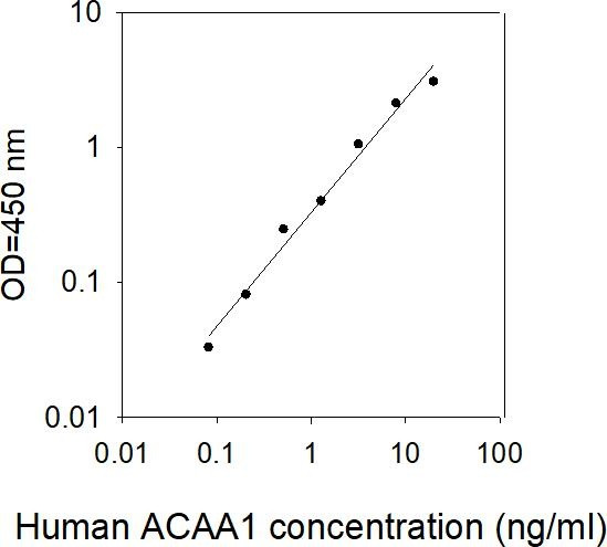 Human ACAA1 ELISA kit Standard Curve
