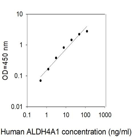 Human ALDH4A1 ELISA Kit