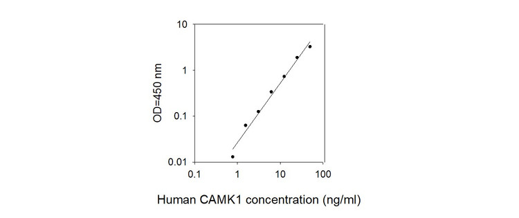Human CAMK1 ELISA Kit Standard Curve