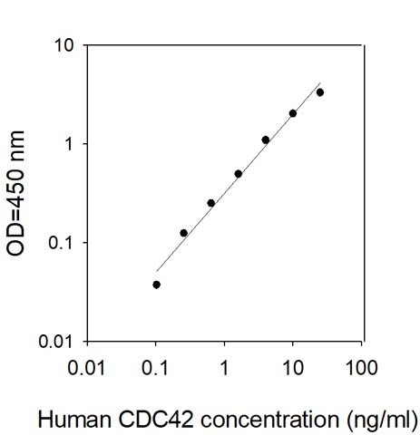 Human CDC42 ELISA Kit