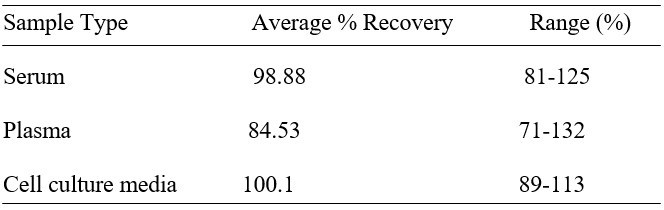 Human CDC42 ELISA Kit
