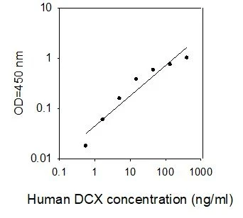 Human DCX ELISA Kit