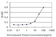 Anti-CYP2J2 Antibody