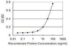 Anti-CYP4F3 Antibody