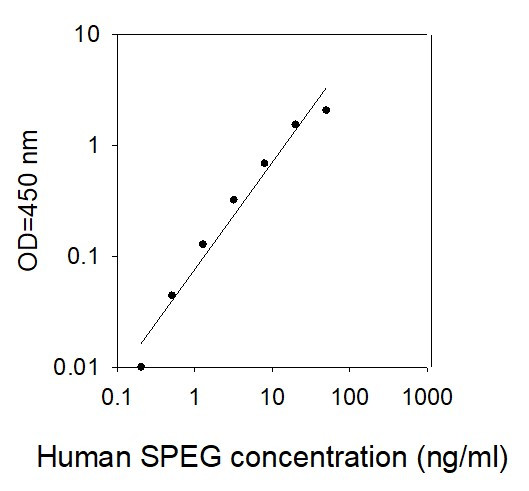 Human SPEG ELISA kit Standard Curve