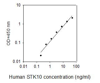 Human STK10 ELISA kit Standard Curve