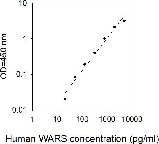 Human WARS ELISA kit Standard Curve