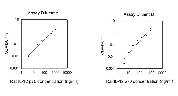 Rat IL-12 p70 ELISA Kit Standard Curve