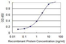 Anti-DFFA Antibody