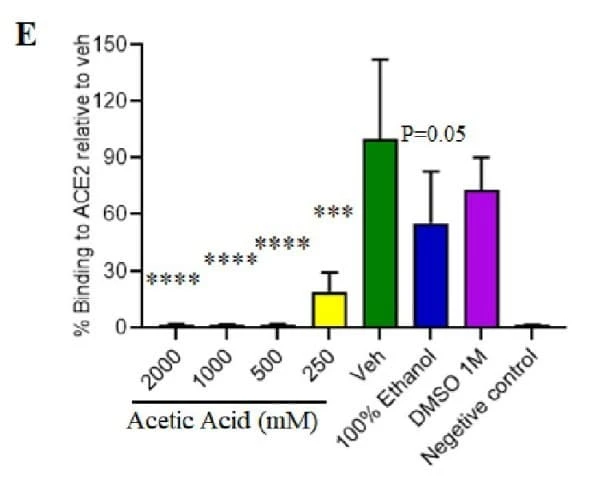 Figure adapted from Amruta et al., PLOS ONE, 2023.