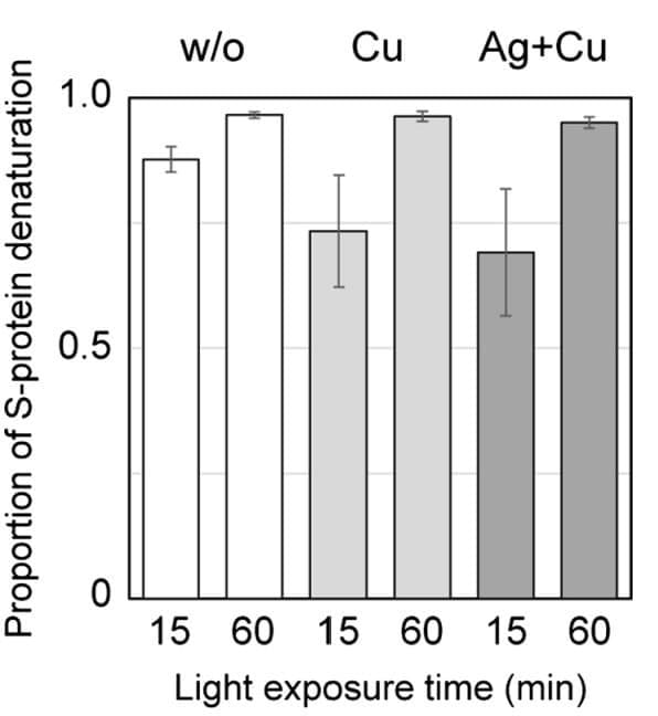 The kit was used to assess changes in SARS-CoV-2 spike receptor-binding domain interaction with human ACE2 following visible-light photocatalytic treatment. Figure adapted from Matsuyama et al., Biotechnology Letters, 2023.