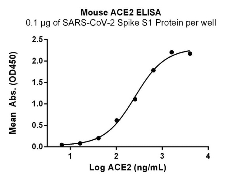 Recombinant Mouse ACE2 Protein