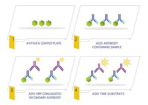 COVID-19 Human IgM ELISA Kit