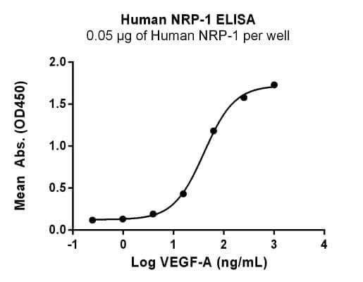 Recombinant Human Neuropilin‑1 (NRP1) Protein, isoform 1