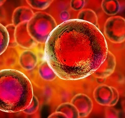 COVID-19 Vaccinated Time-Series PBMCs