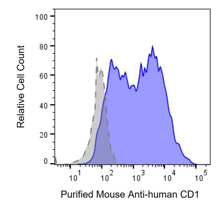 Anti-Human CD1 Antibody, Purified