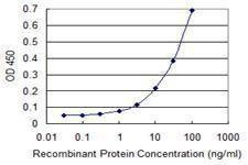 Anti-DOC2A Antibody