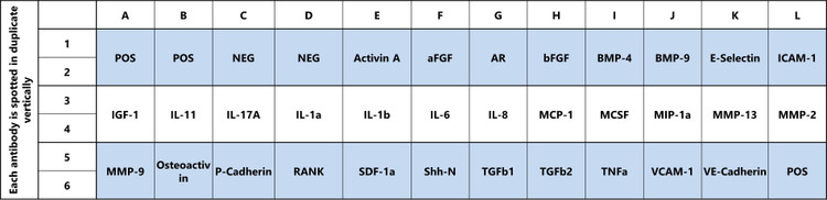 Human Bone Metabolism Array C1