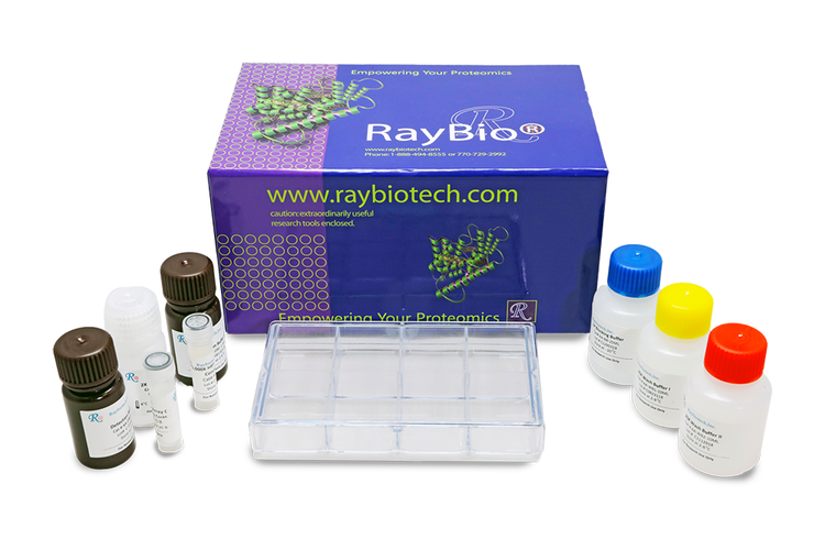 Human Immune Response Array C1